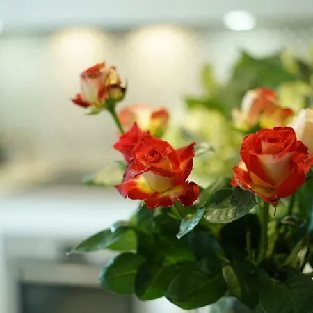 Σπίτι διακοπών Casa Hugo *