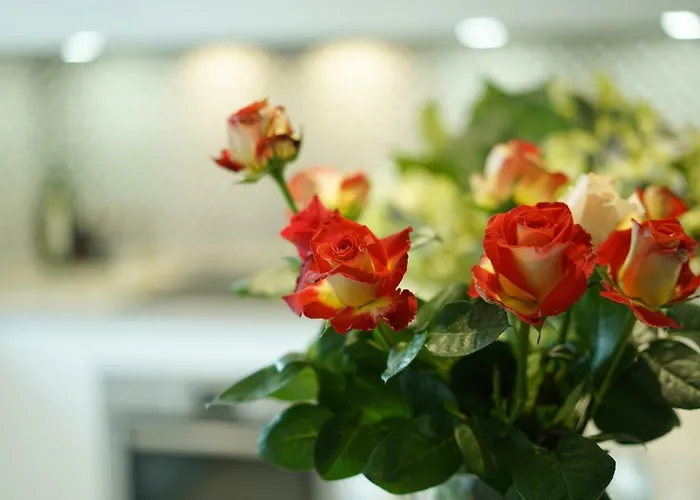 Dom wakacyjny Casa Hugo *